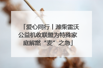 爱心同行丨潍柴雷沃公益机收联盟为特殊家庭解燃“麦”之急