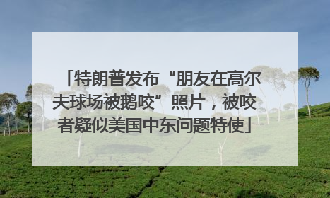 特朗普发布“朋友在高尔夫球场被鹅咬”照片，被咬者疑似美国中东问题特使