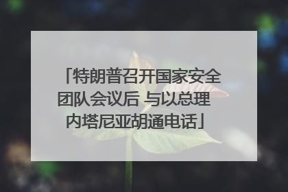 特朗普召开国家安全团队会议后 与以总理内塔尼亚胡通电话