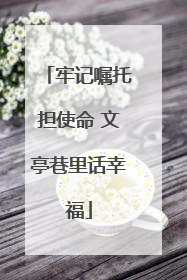 牢记嘱托担使命 文亭巷里话幸福