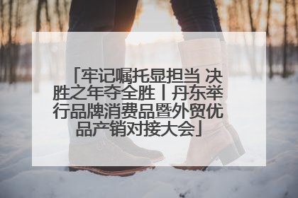 牢记嘱托显担当 决胜之年夺全胜丨丹东举行品牌消费品暨外贸优品产销对接大会
