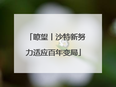 瞭望丨沙特新努力适应百年变局