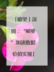 瞭望丨深圳：“破壁”加速数据价值实现