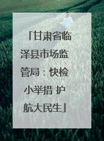 甘肃省临泽县市场监管局：快检小举措 护航大民生