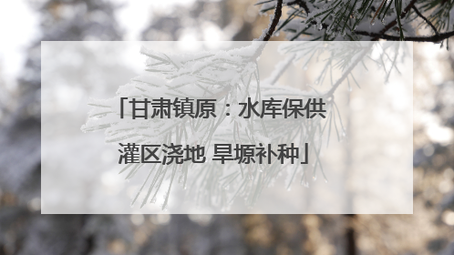 甘肃镇原：水库保供 灌区浇地 旱塬补种