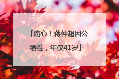 痛心！蒋仲超因公牺牲，年仅41岁