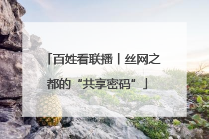百姓看联播丨丝网之都的“共享密码”