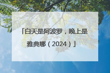 白天是阿波罗，晚上是雅典娜（2024）