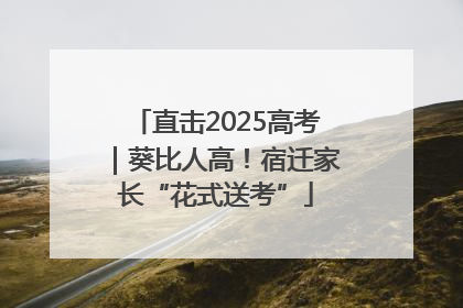 直击2025高考｜葵比人高！宿迁家长“花式送考”