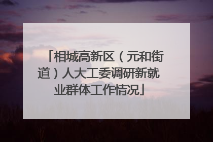 相城高新区（元和街道）人大工委调研新就业群体工作情况