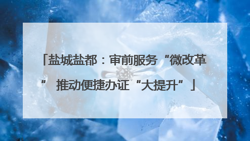 盐城盐都：审前服务“微改革” 推动便捷办证“大提升”