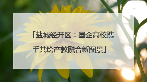 盐城经开区：国企高校携手共绘产教融合新图景