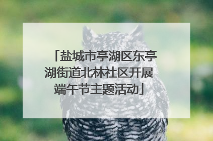 盐城市亭湖区东亭湖街道北林社区开展端午节主题活动