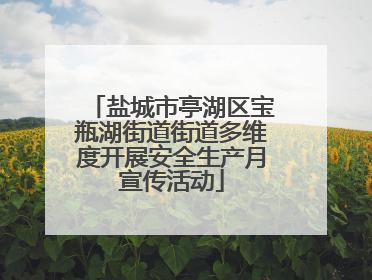 盐城市亭湖区宝瓶湖街道街道多维度开展安全生产月宣传活动