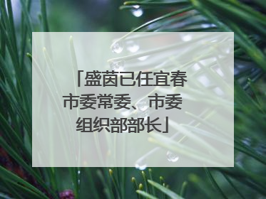 盛茵已任宜春市委常委、市委组织部部长