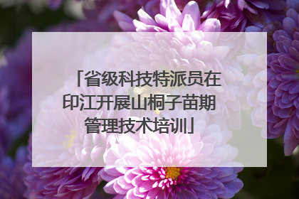 省级科技特派员在印江开展山桐子苗期管理技术培训