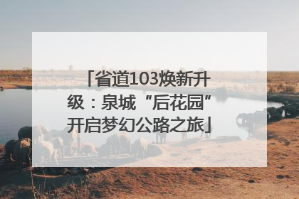 省道103焕新升级：泉城“后花园”开启梦幻公路之旅