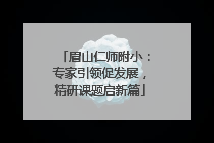 眉山仁师附小：专家引领促发展，精研课题启新篇