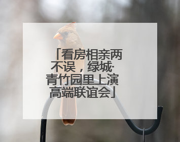 看房相亲两不误，绿城·青竹园里上演高端联谊会