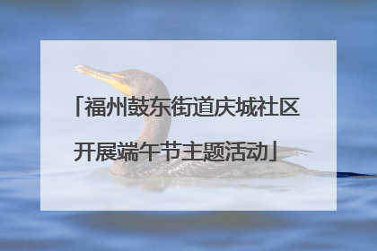 福州鼓东街道庆城社区开展端午节主题活动