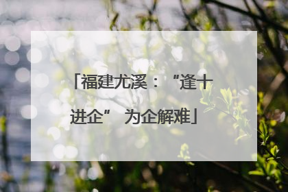 福建尤溪：“逢十进企” 为企解难