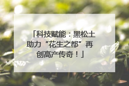 科技赋能：黑松土助力“花生之都”再创高产传奇！