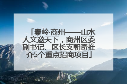 秦岭·商州——山水人文邀天下，商州区委副书记、区长支朝奇推介5个重点招商项目