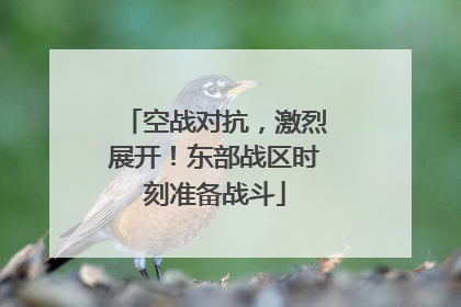 空战对抗，激烈展开！东部战区时刻准备战斗