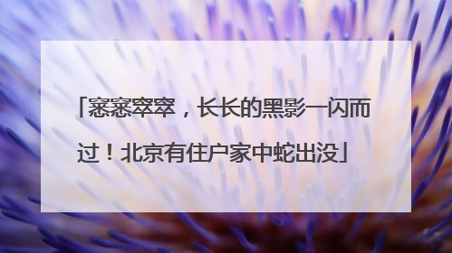 窸窸窣窣，长长的黑影一闪而过！北京有住户家中蛇出没
