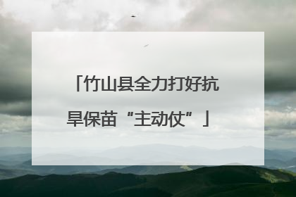 竹山县全力打好抗旱保苗“主动仗”