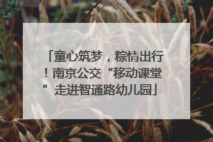 童心筑梦，粽情出行！南京公交“移动课堂”走进智通路幼儿园