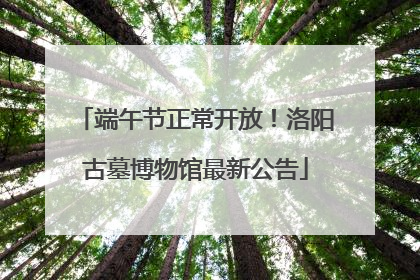 端午节正常开放！洛阳古墓博物馆最新公告
