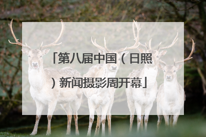 第八届中国（日照）新闻摄影周开幕
