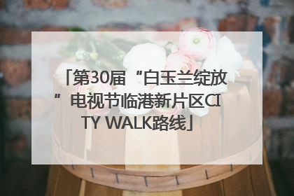 第30届“白玉兰绽放”电视节临港新片区CITY WALK路线