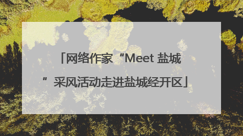 网络作家“Meet 盐城”采风活动走进盐城经开区