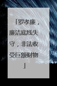 罗孝廉，廉洁底线失守，非法收受巨额财物