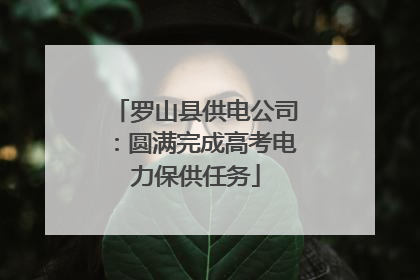 罗山县供电公司：圆满完成高考电力保供任务