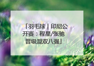 羽毛球｜印尼公开赛：程星/张驰晋级混双八强