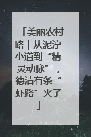 美丽农村路｜从泥泞小道到“精灵动脉”，德清有条“虾路”火了