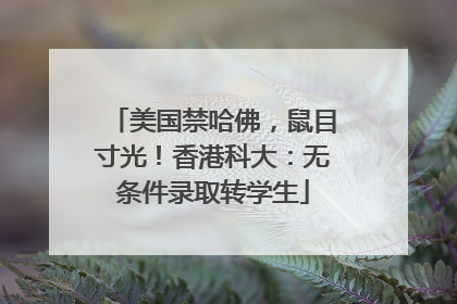 美国禁哈佛，鼠目寸光！香港科大：无条件录取转学生
