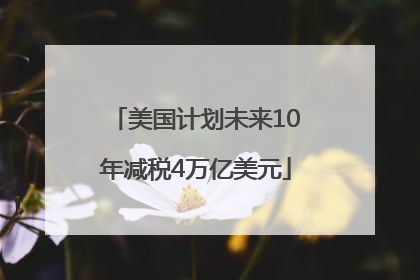 美国计划未来10年减税4万亿美元