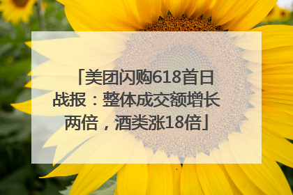 美团闪购618首日战报：整体成交额增长两倍，酒类涨18倍
