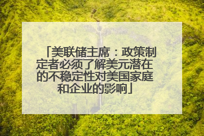 美联储主席：政策制定者必须了解美元潜在的不稳定性对美国家庭和企业的影响