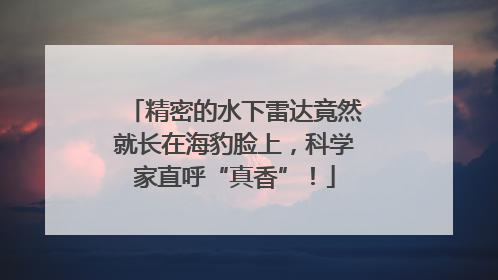 精密的水下雷达竟然就长在海豹脸上，科学家直呼“真香”！