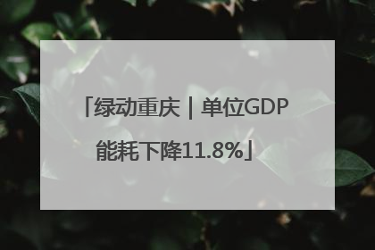 绿动重庆｜单位GDP能耗下降11.8%