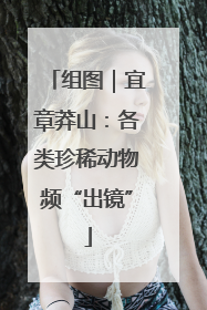 组图｜宜章莽山：各类珍稀动物频“出镜”
