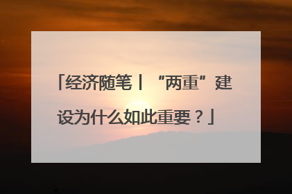 经济随笔丨“两重”建设为什么如此重要？