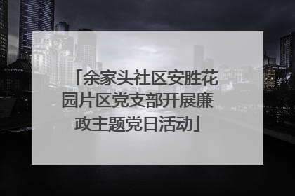 余家头社区安胜花园片区党支部开展廉政主题党日活动