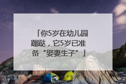 你5岁在幼儿园蹦跶，它5岁已准备“娶妻生子”