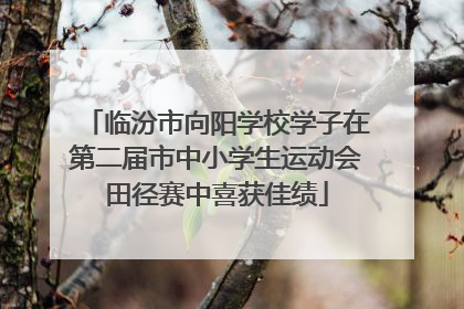 临汾市向阳学校学子在第二届市中小学生运动会田径赛中喜获佳绩